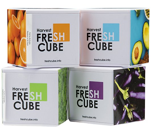 Harvest Fresh Cube Set of 4 Refrigerator Produce Saver