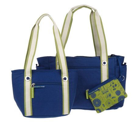 qvc rachael ray insulated bags