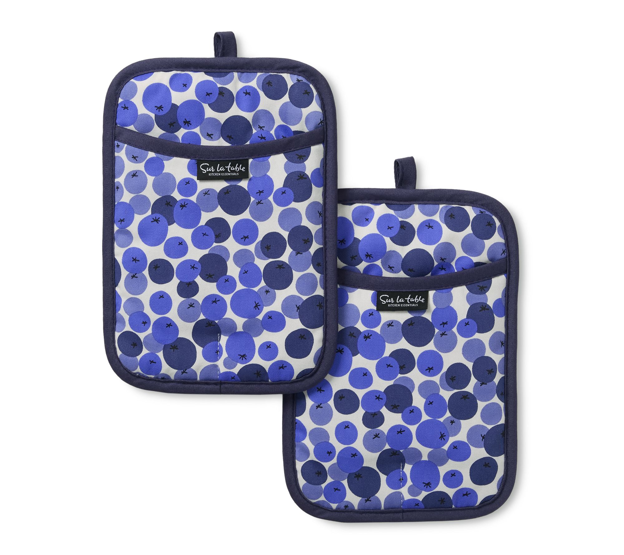 SLTKE Fresh Blueberries Pot Holders 2-Pack Set