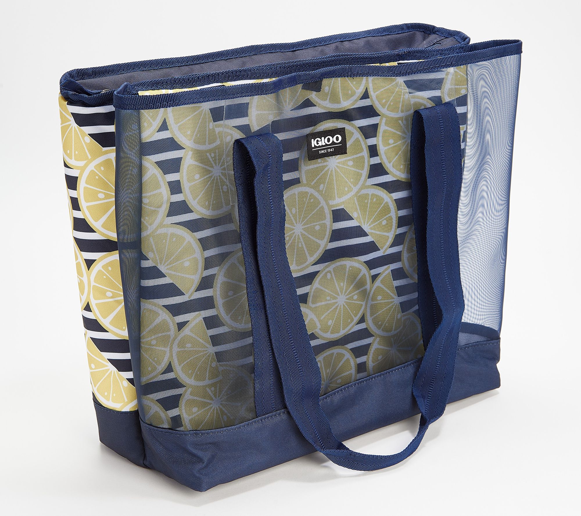 Igloo Dual Compartment Insulated Mesh Beach Tote