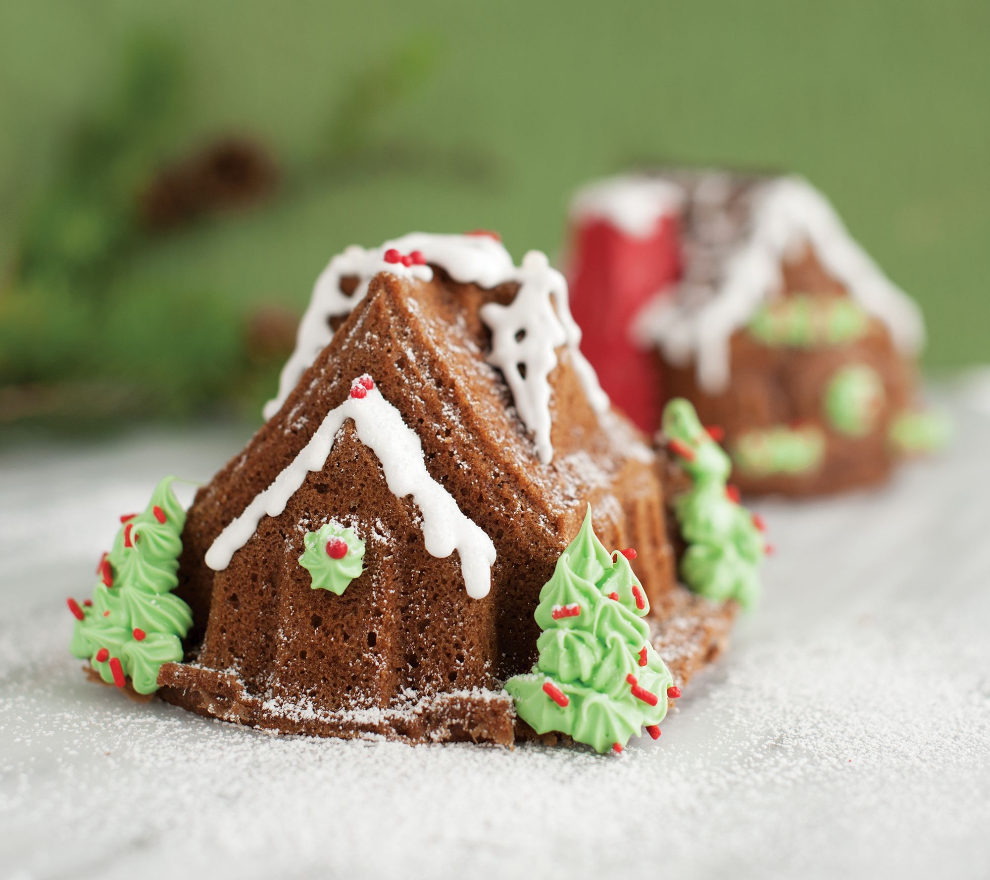 Nordic ware gingerbread house bundt cheap pan