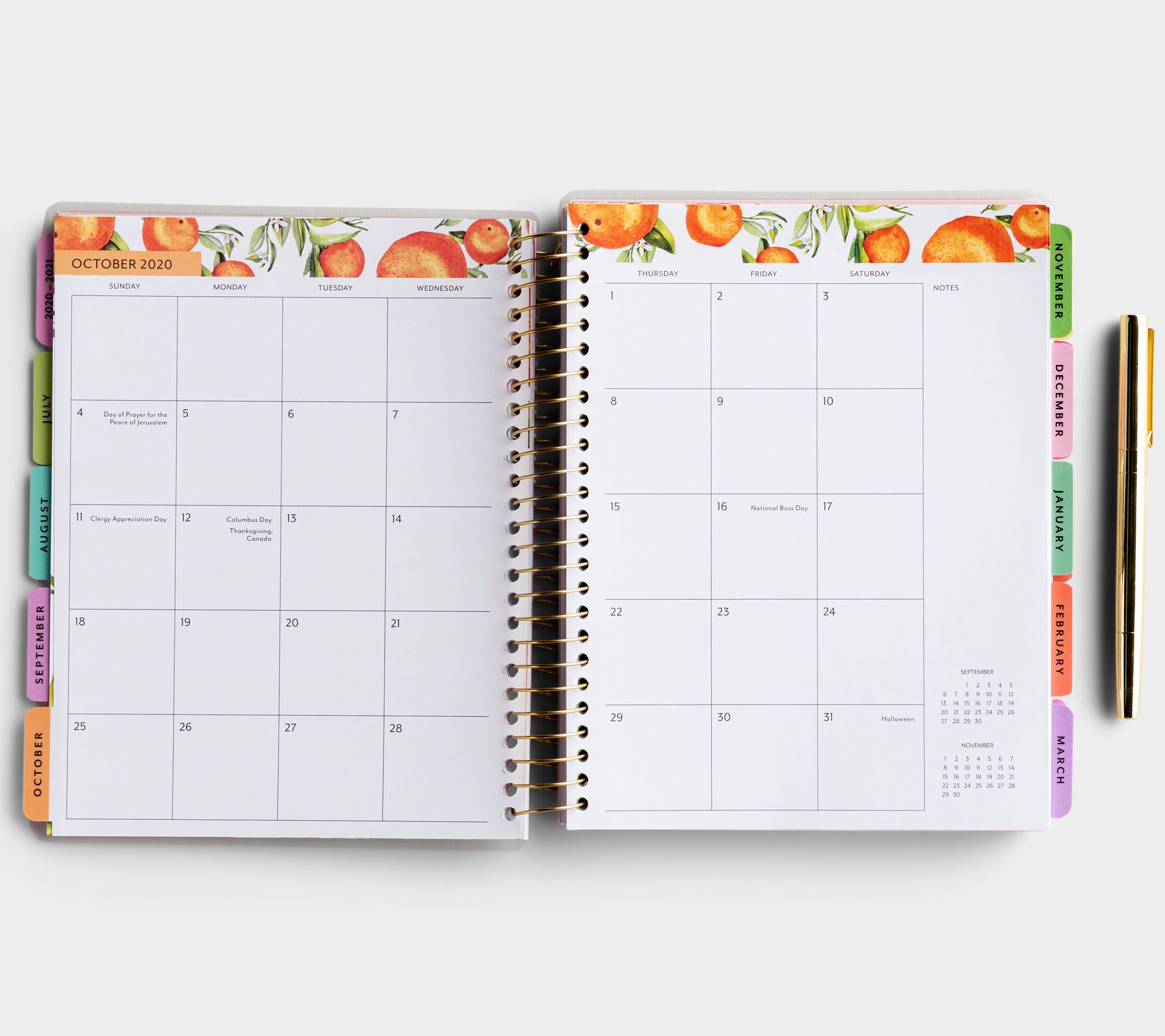 DaySpring 2020-2021 Floral 18-Month Agenda Planner - QVC.com