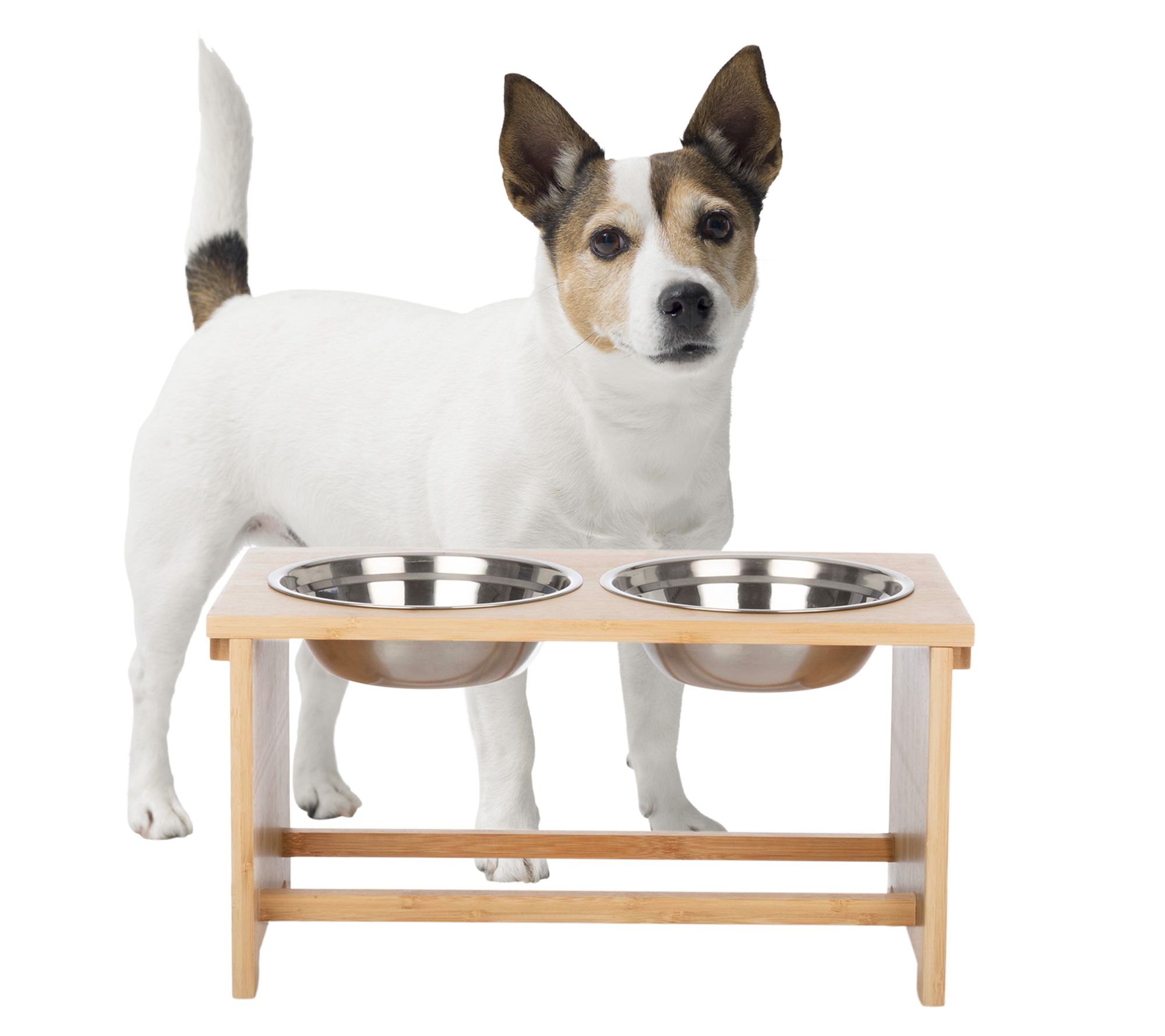 Petmaker 10" Raised Dog Bowl Stand & RemovablePet Bowls