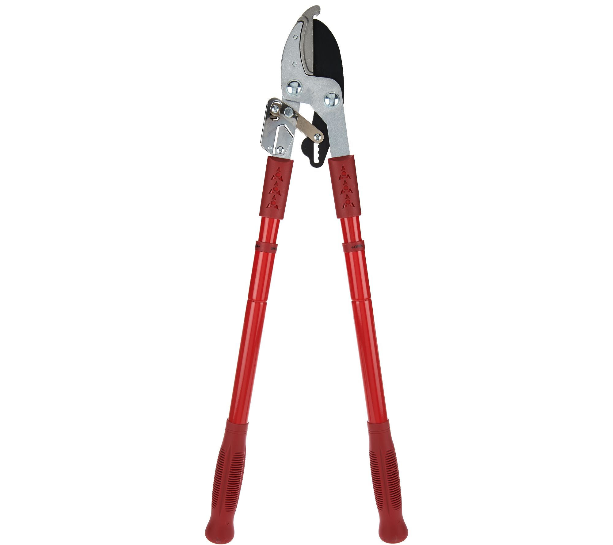 Ratcheting Pruning Shears with Telescopic Handles