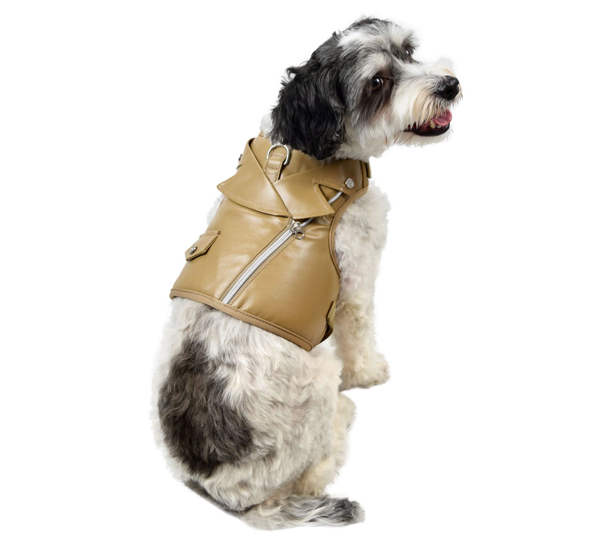 Wholesale designer dog clothes, t-shirts, harness vests & leather