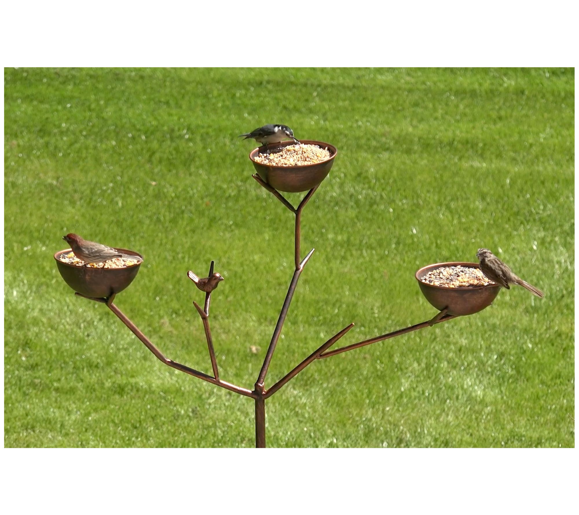 Bernini Alberto Metal Tree Branch Bird Feeder
