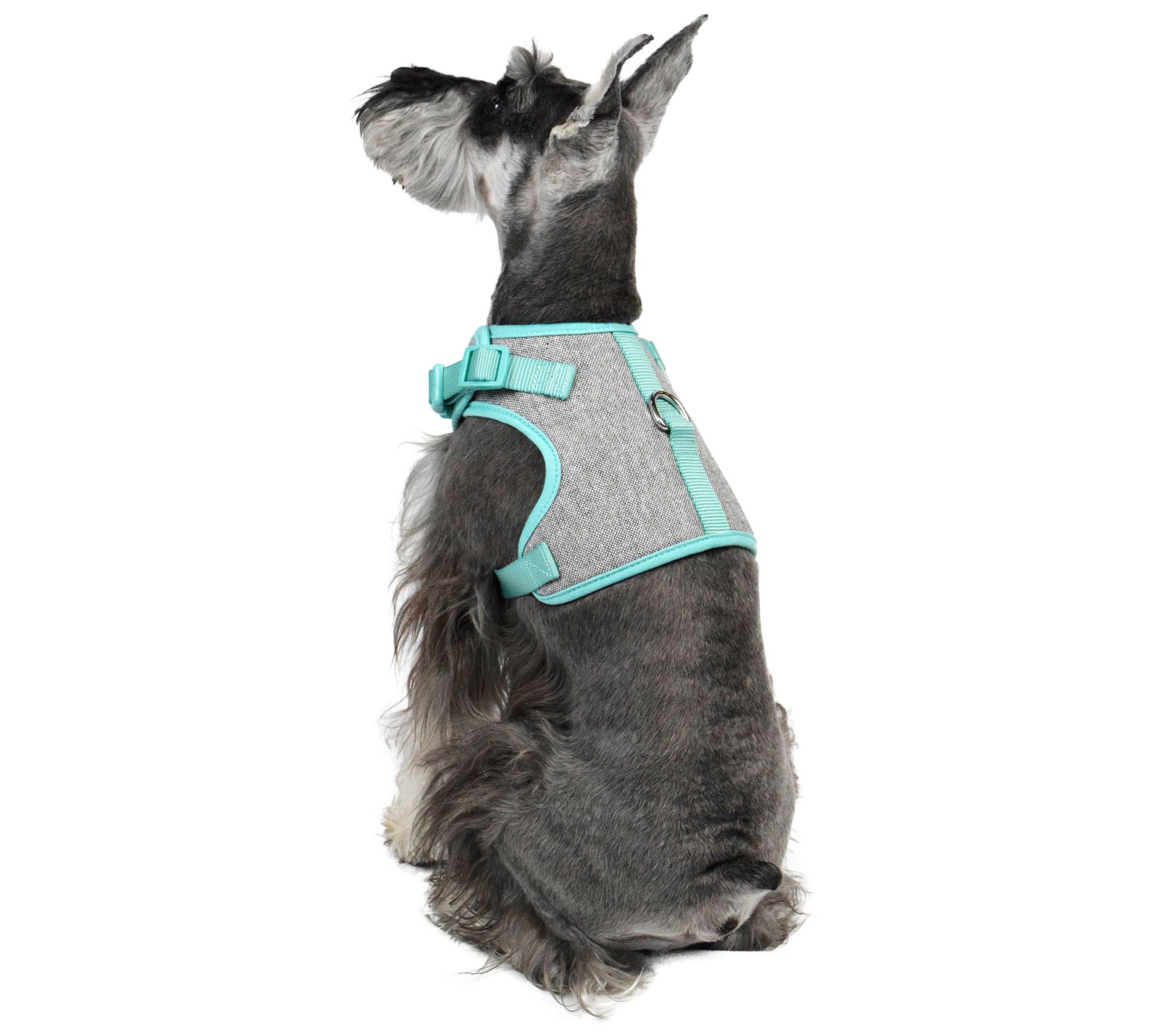 martha stewart dog harness