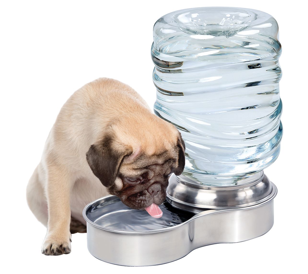 Pet Store Stainless Steel Dog And Cat Water Foutain Bowl - Qvc.com