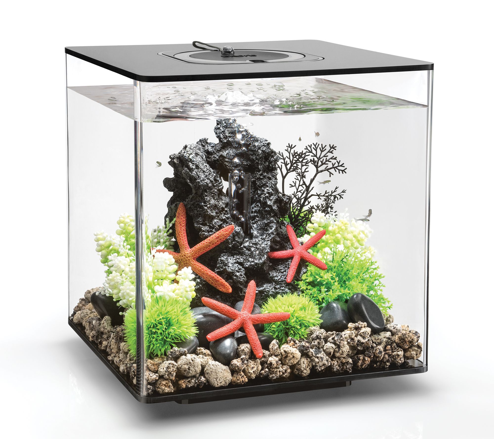 Aqueon Frameless Cube Aquarium, Gallon Petco, 44% OFF