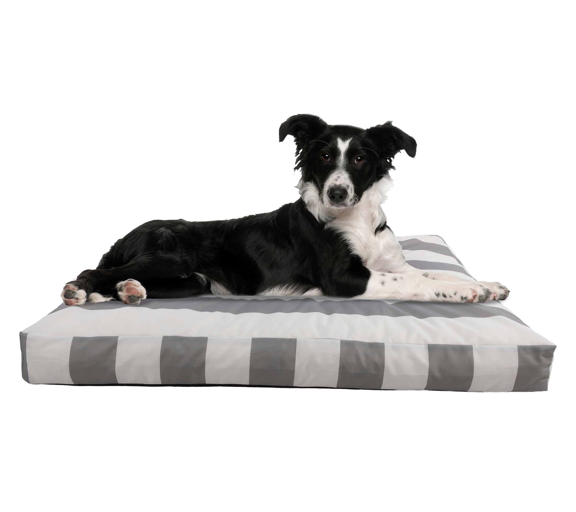 Petmaker Medium Dog Bed with Water-Resistant Removable Cover