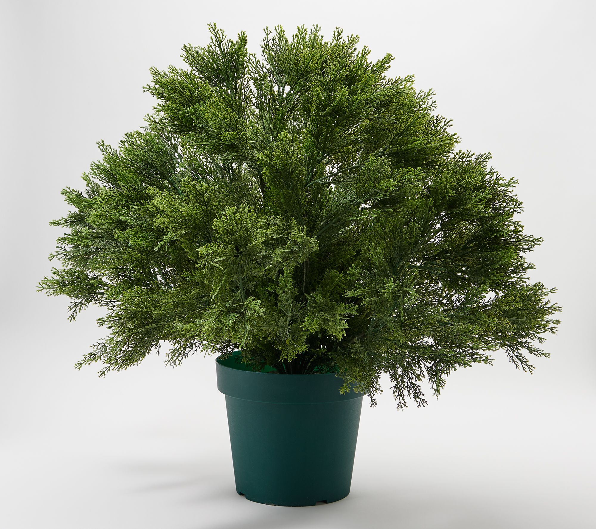 National Tree Indoor/Outdoor 28" Globe Cedar Shrub in Growers Pot