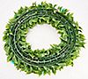 Wicker Park 24" Faux Floral Flower Blossom Indoor/Outdoor Wreath, 1 of 1