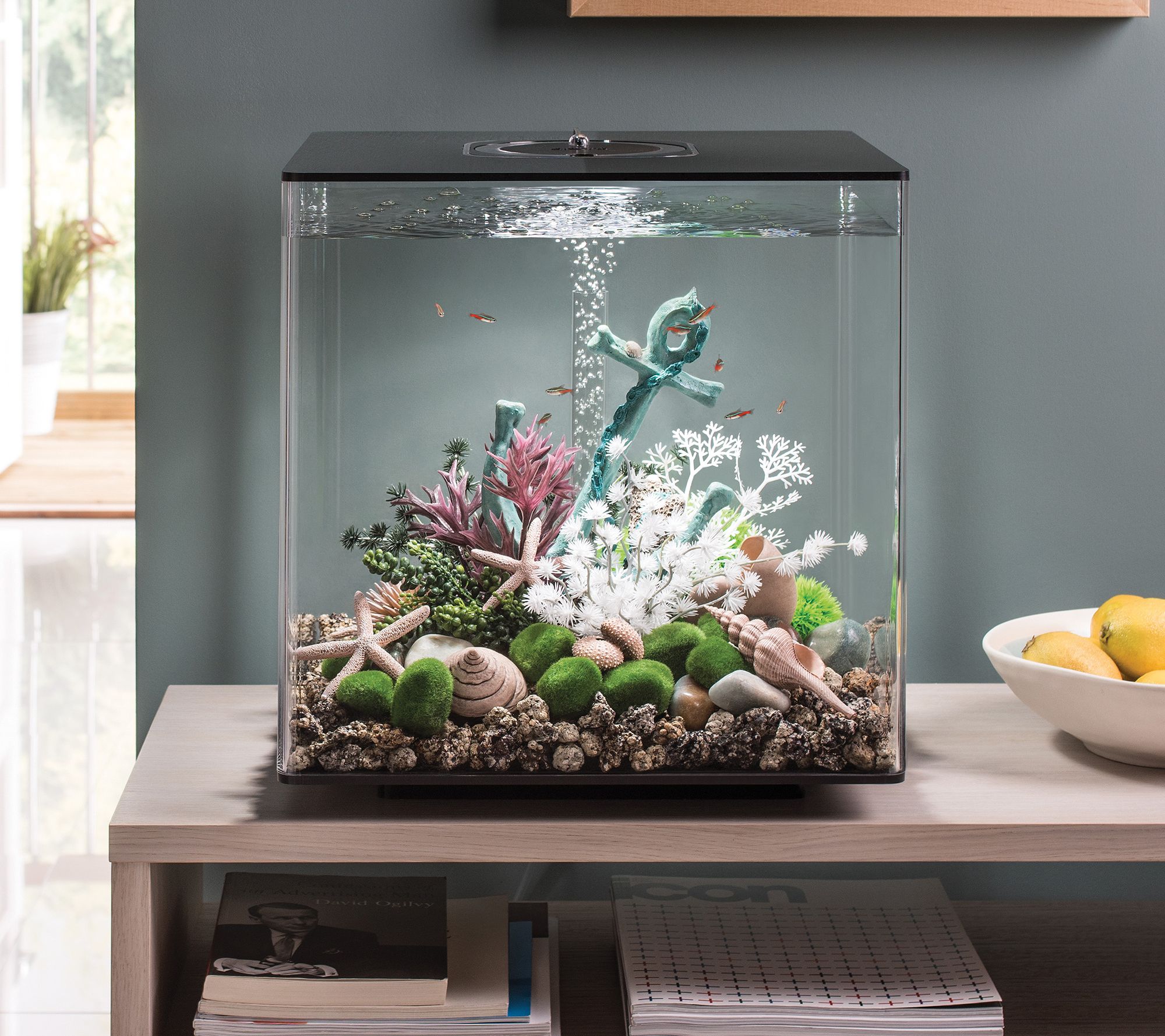 BiOrb Cube 60L MCR Aquarium, 16-Gallon - QVC.com