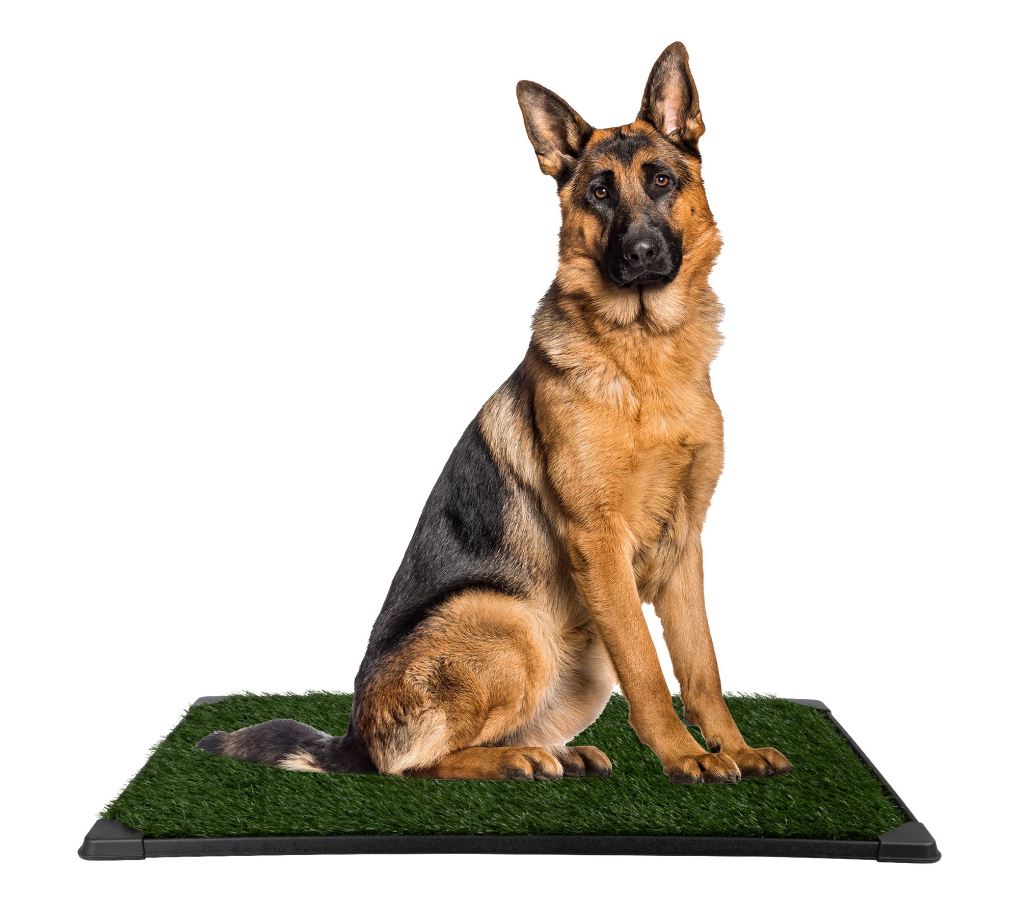 Petmaker Artificial Grass Reusable Puppy Peed Pad 35.5X23.5
