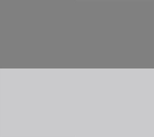 Pewter/Silver