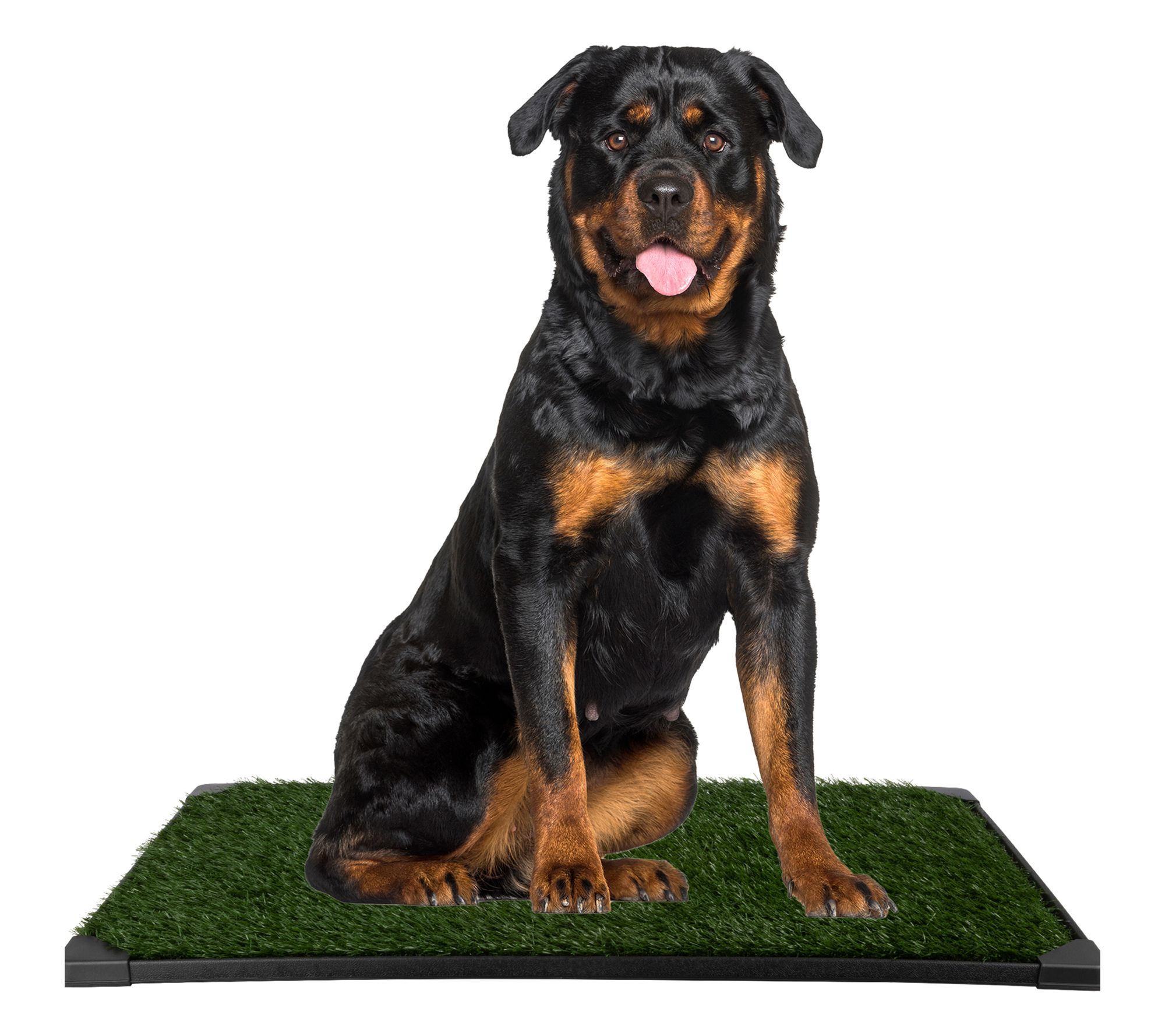 Petmaker Artificial Grass Reusable Puppy Peed Pad 41X27