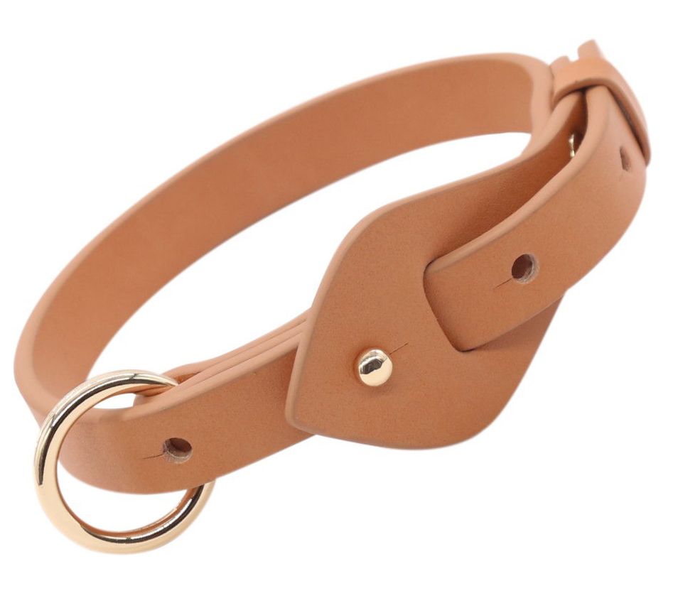 Pet Life  'Ever-Craft' Boutique Series Leather Dog Collar