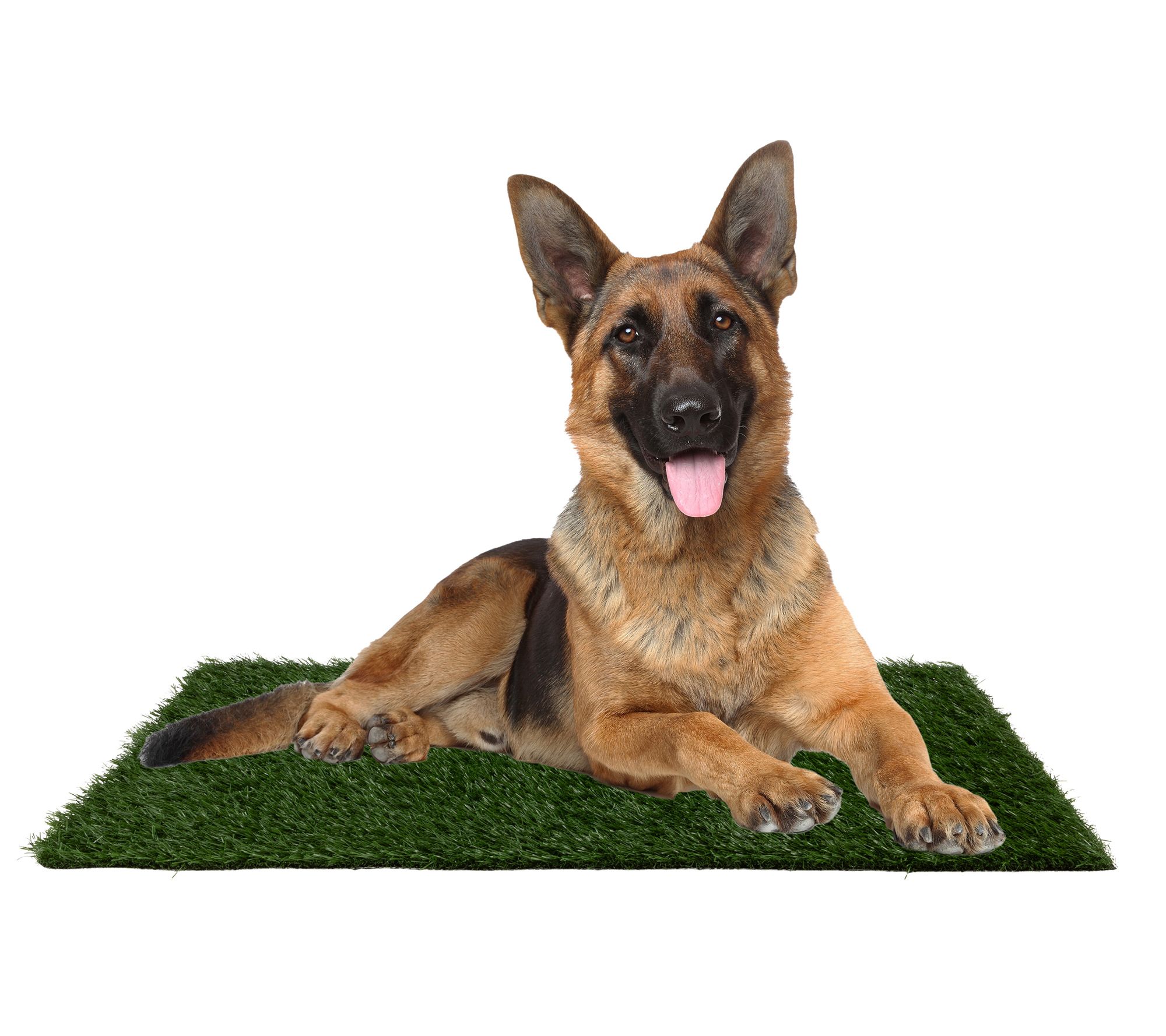 Petmaker Set of 3 Reusable Pee Pad Replacements35.5x23.5