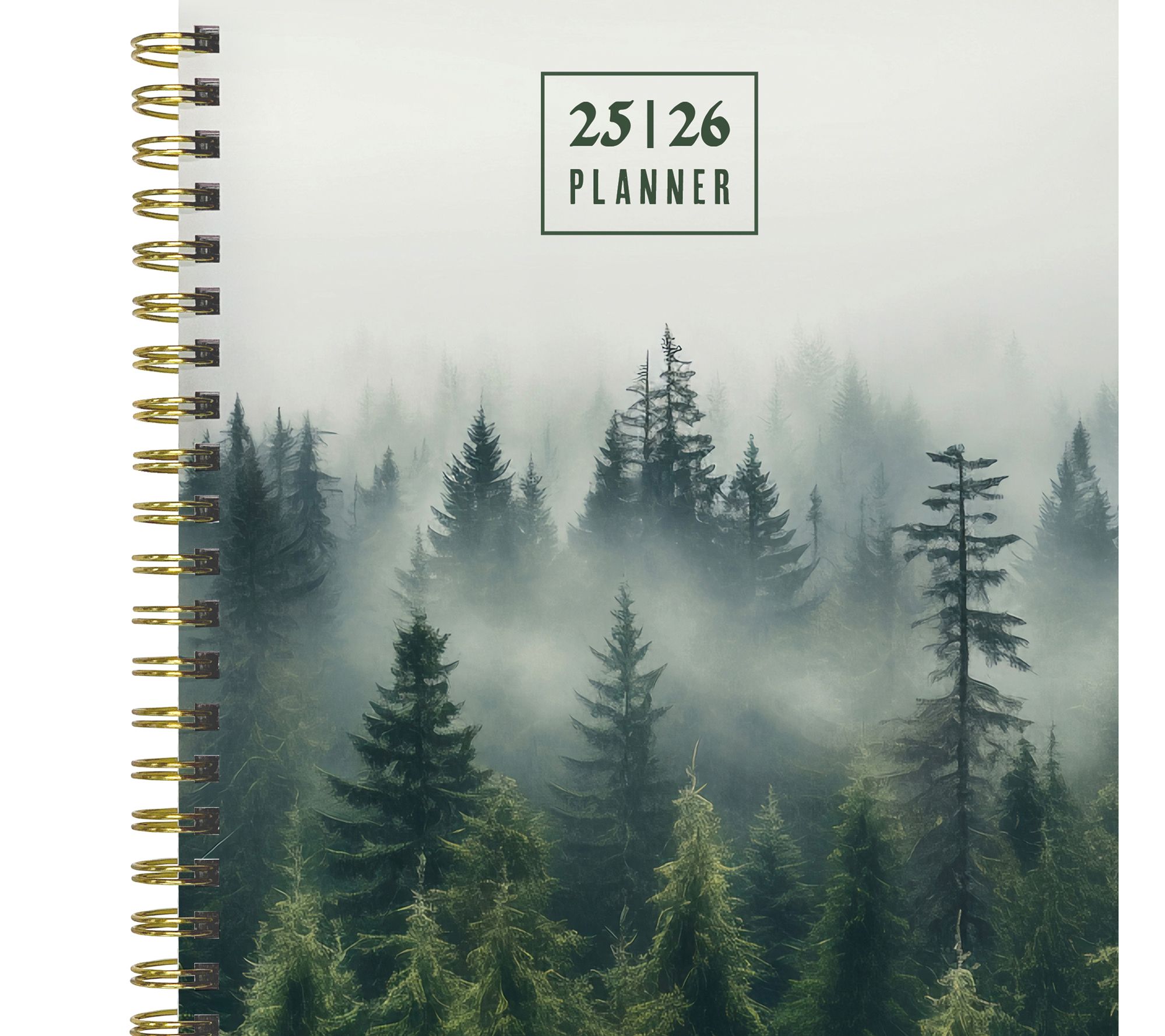 TF Publishing July2025-June2026 Med W/M Planner-Modern Gothic