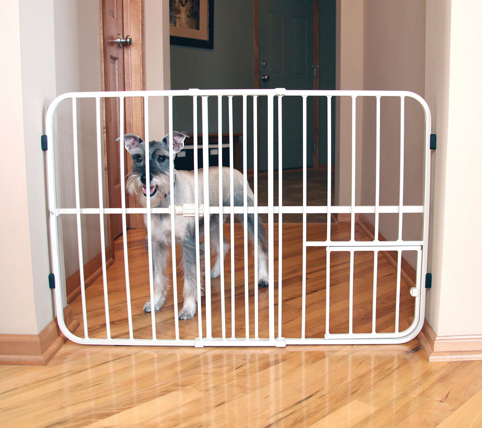 Carlson Tuffy Expandable Pet Gate with Door