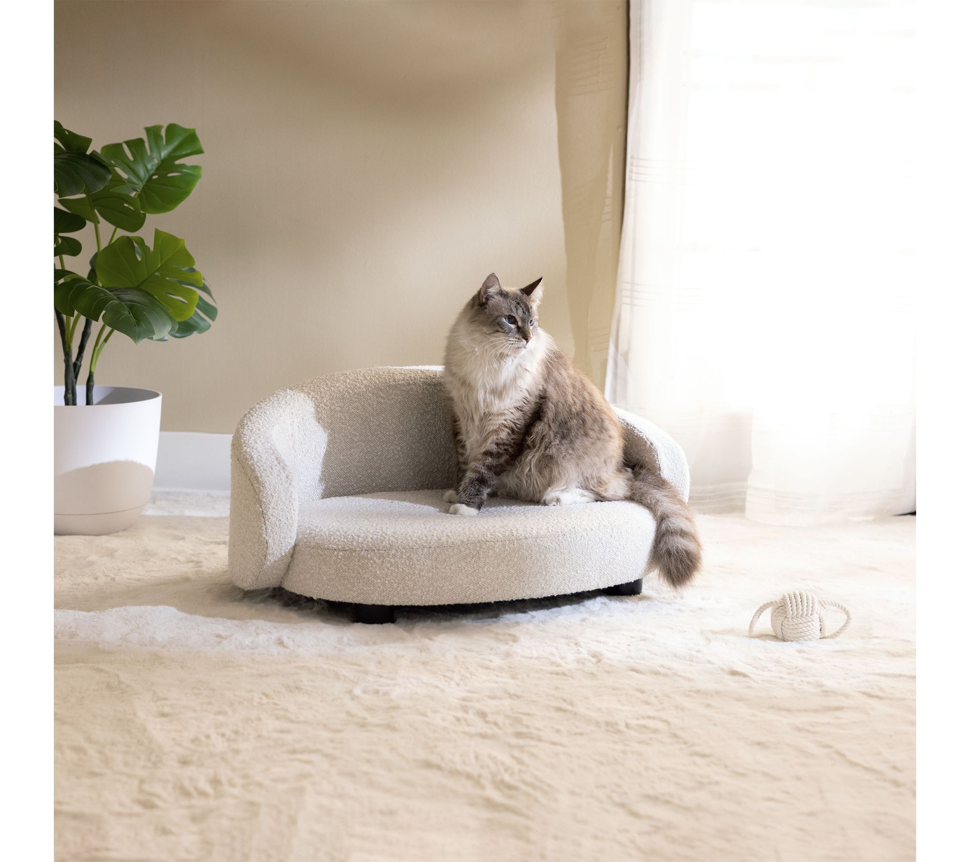  Paws & Purrs Modern Arc Crescent Stylish Pet Bed