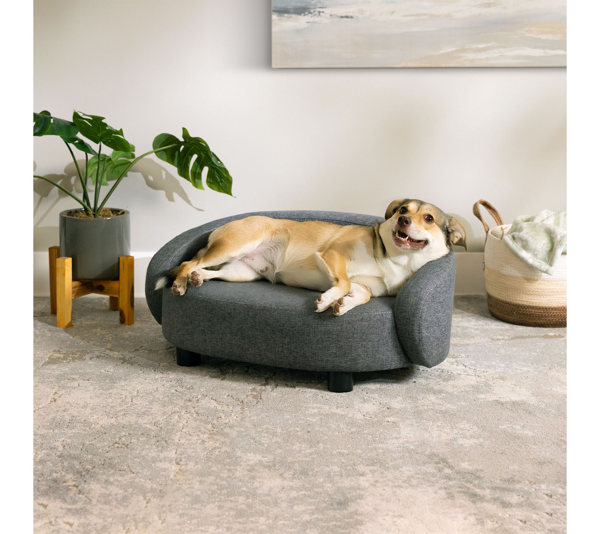 Paws & Purrs Modern Arc Crescent Stylish Pet Bed