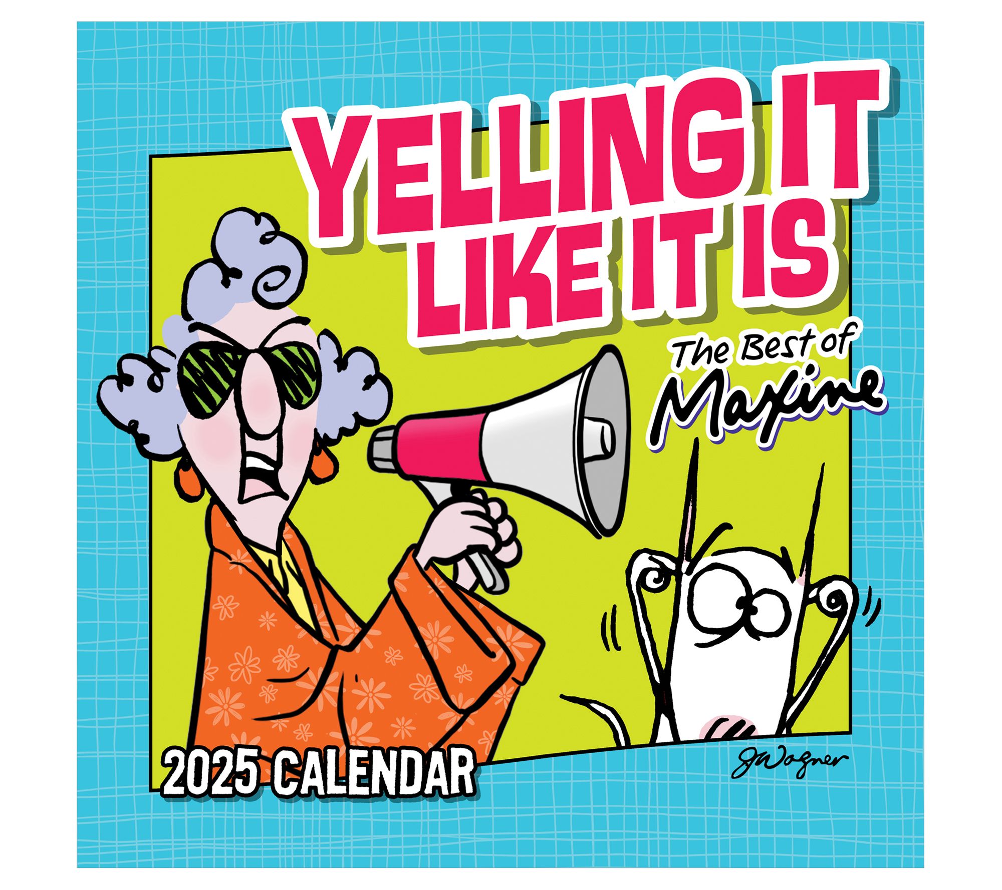 TF Publishing 2025 Wall Calendar Humor