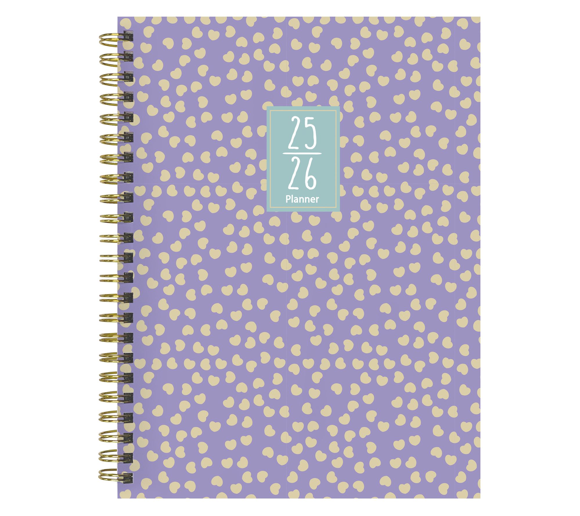 TF Publishing July 2025 - June 2026 Med W/M Planner-Jolly Joy