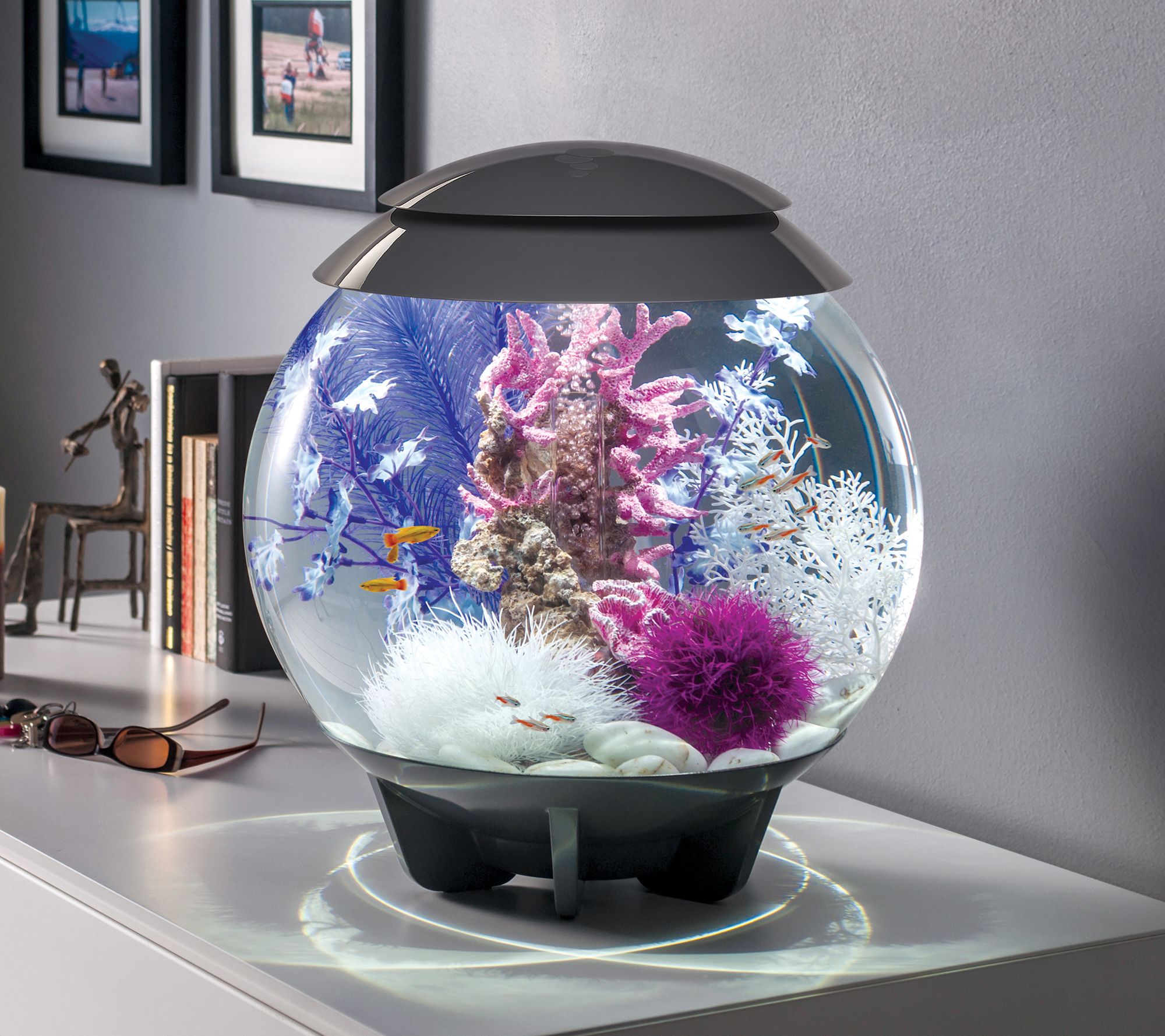 biOrb Halo 30L MCR Aquarium, 8-Gallon - QVC.com