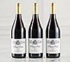 Martha Stewart Wine Co. 3-Bottle Fall Collection Auto-Delivery, 1 of 1