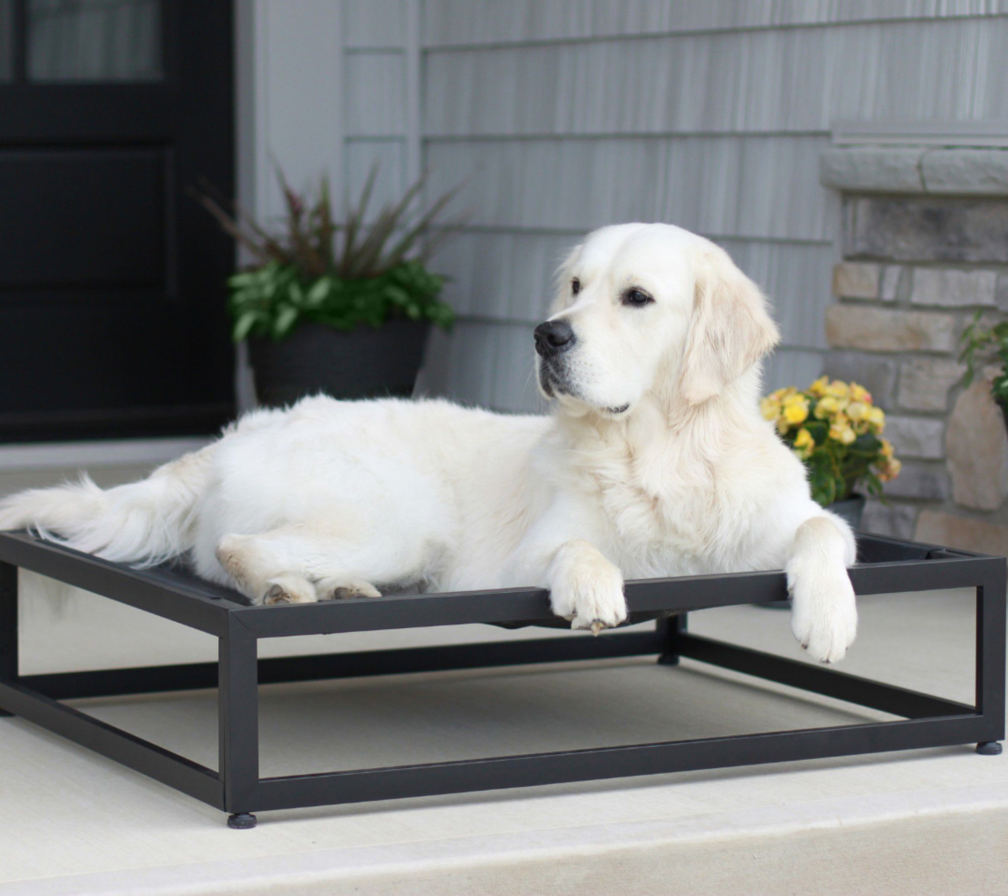 Fuzi Pets Up Pup Elevated Dog Bed-Extra Large