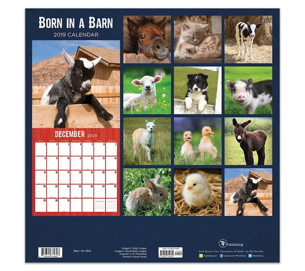 2019 Born in a Barn Wall Calendar - QVC.com