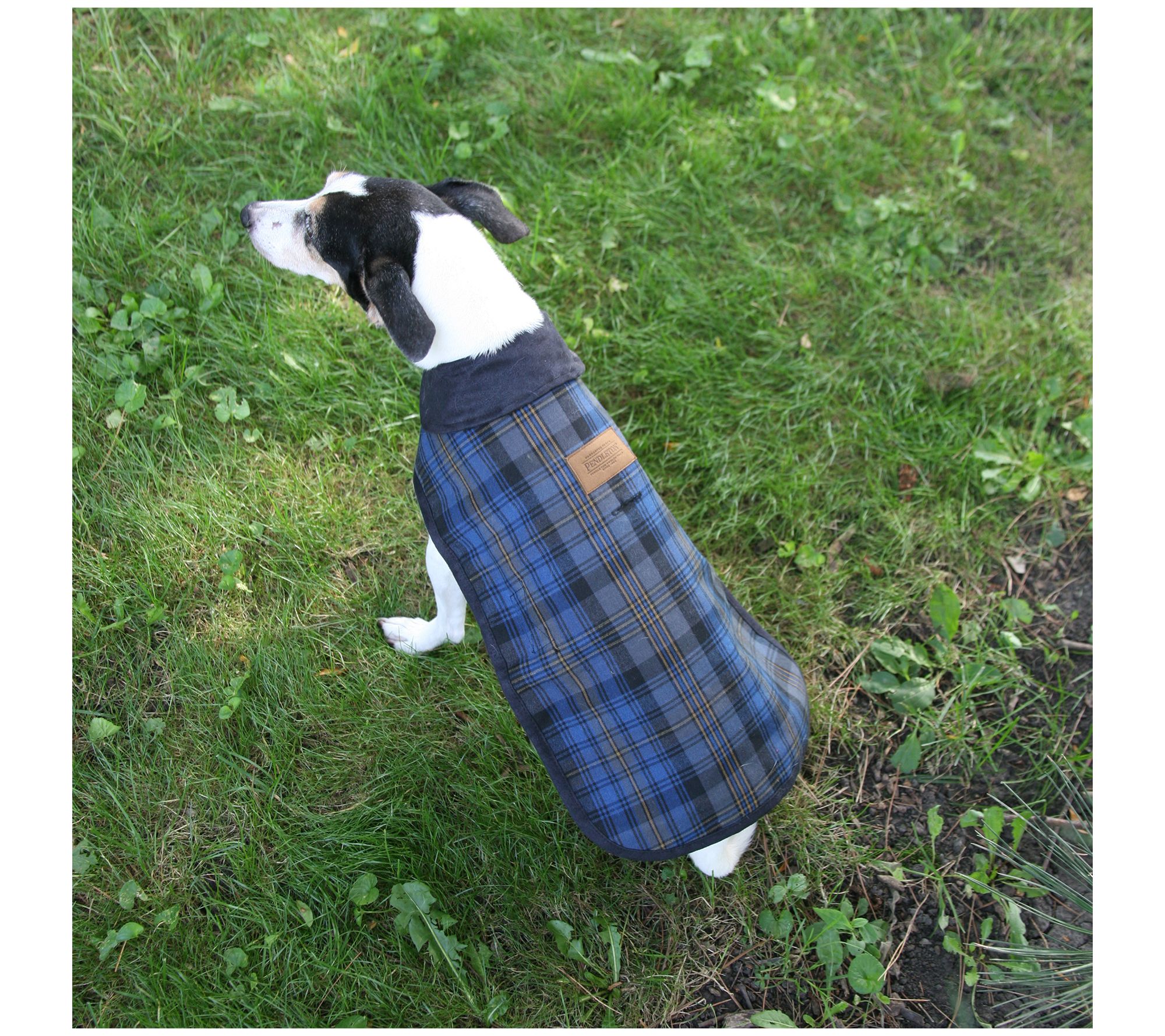 Pendleton Medium Plaid Dog Coat