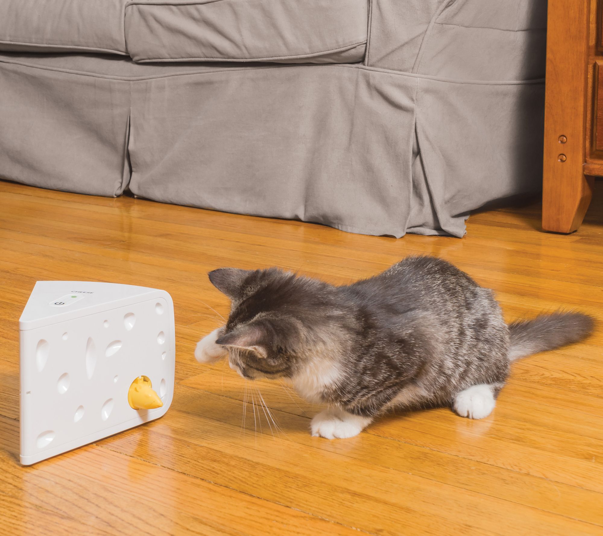 PetSafe Cheese Cat Toy