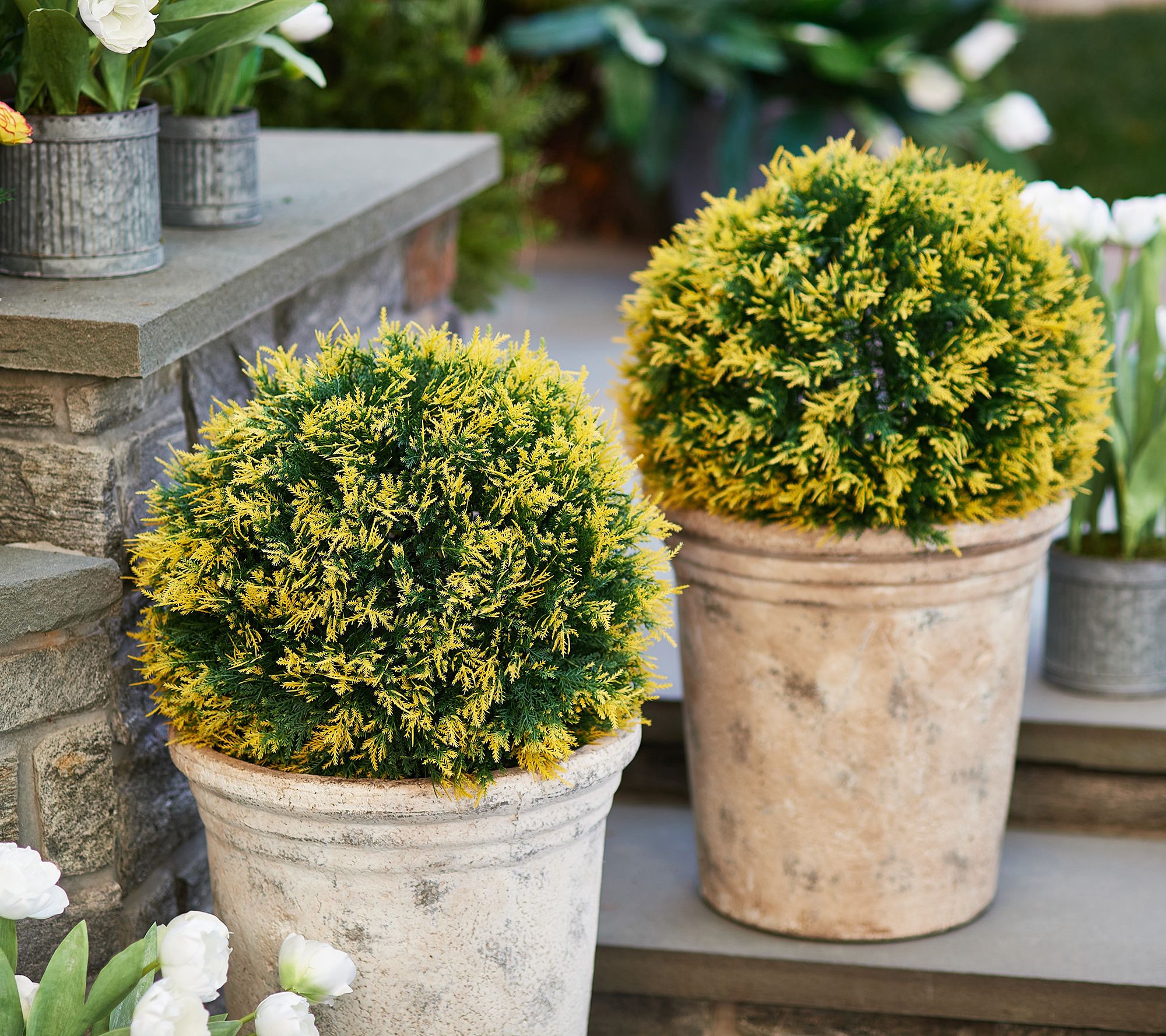 Wicker Park Set of 2 Indoor/Outdoor 19" Faux Cedar Garden Spheres