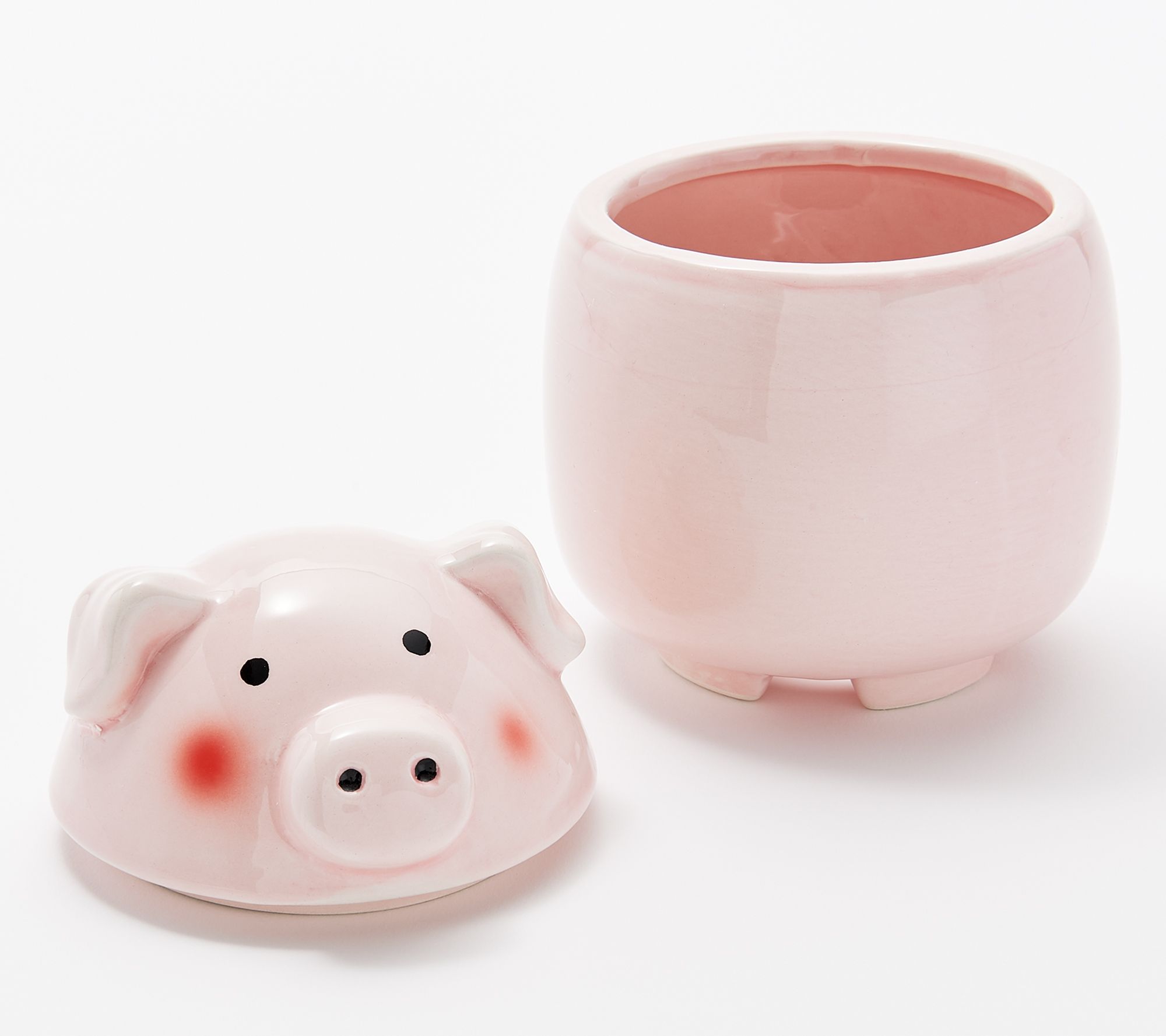 Wind & Weather Ceramic Fruit Fly Trap