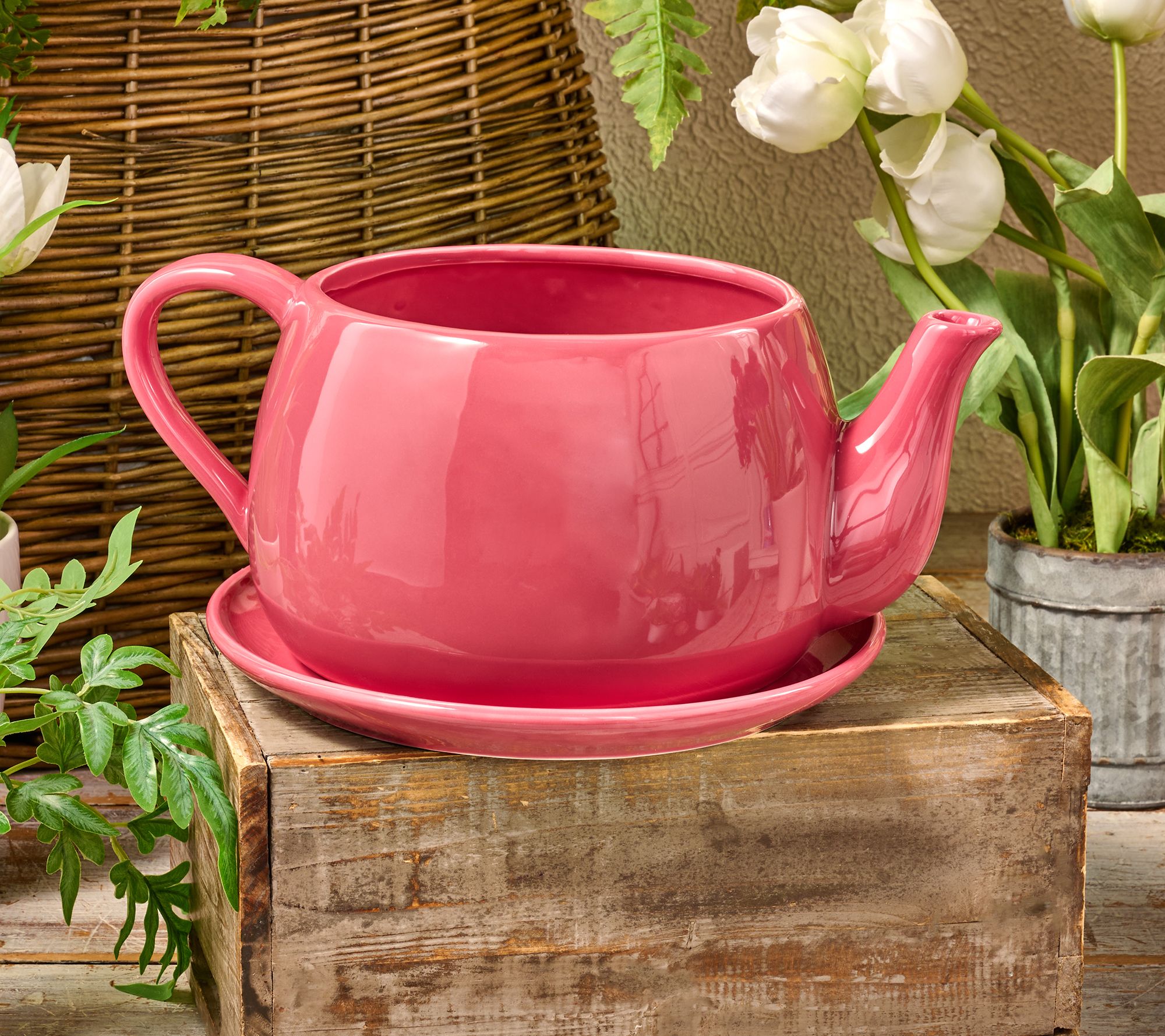 Marigold Ceramic Teapot and Saucer Planter with Gift Box