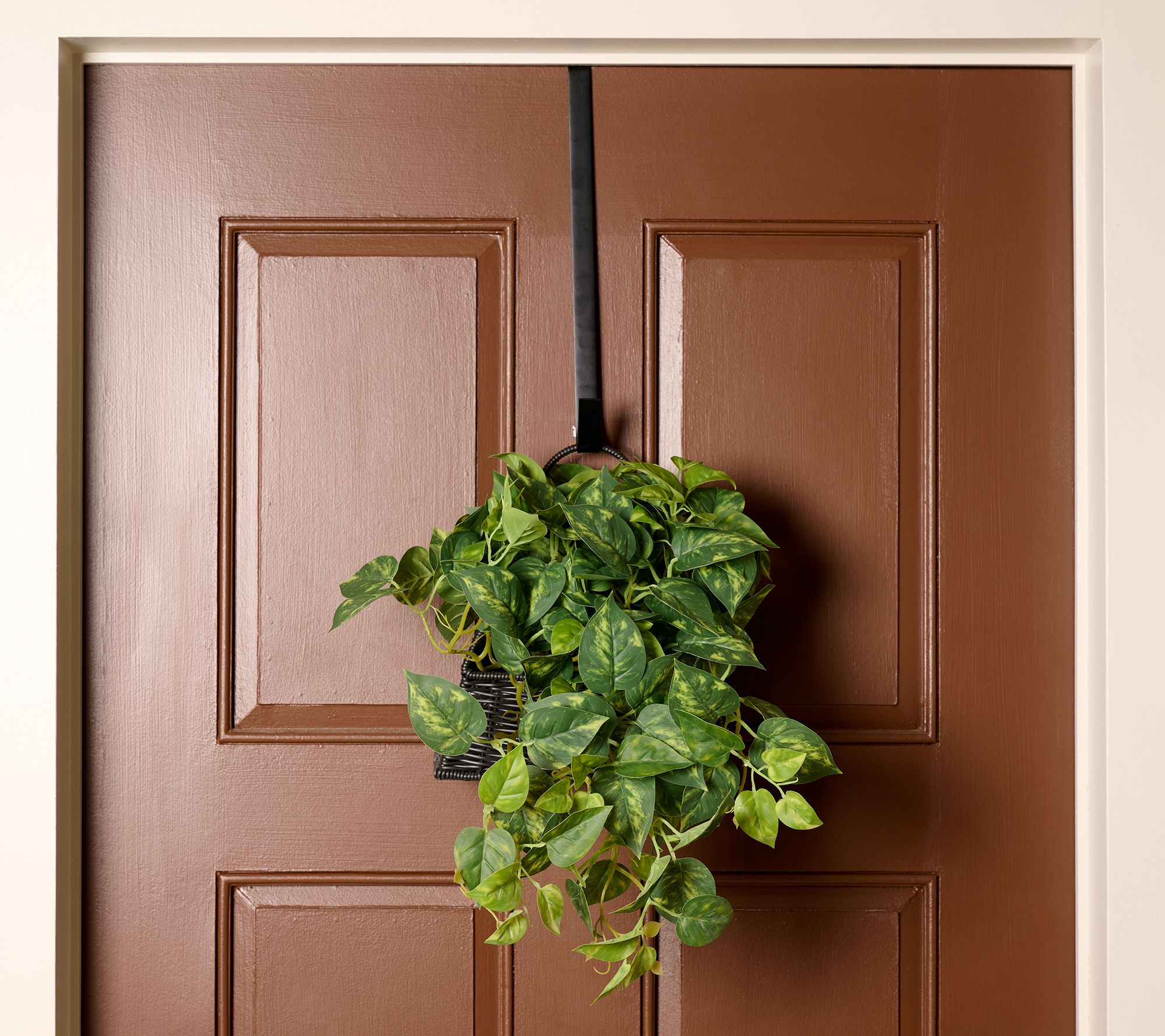 Garden Reflections  Plant in Basket