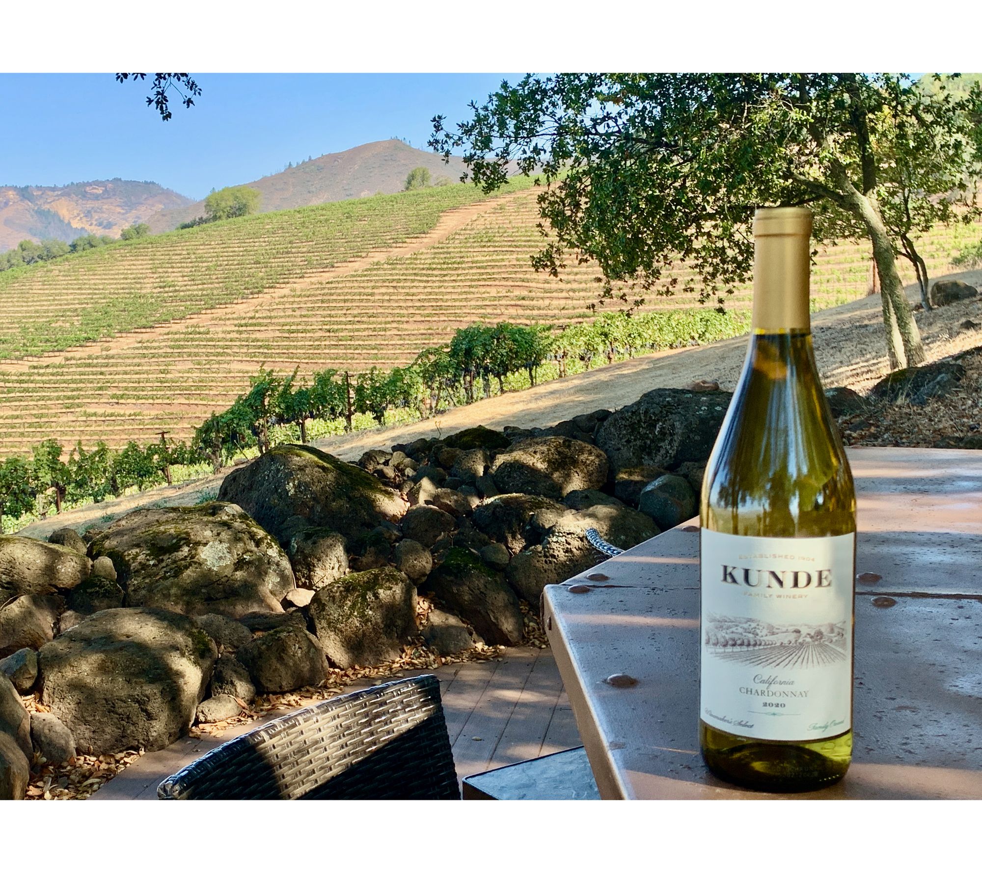 Vintage Wine Estates 3 Bottle Cookout Wine Set