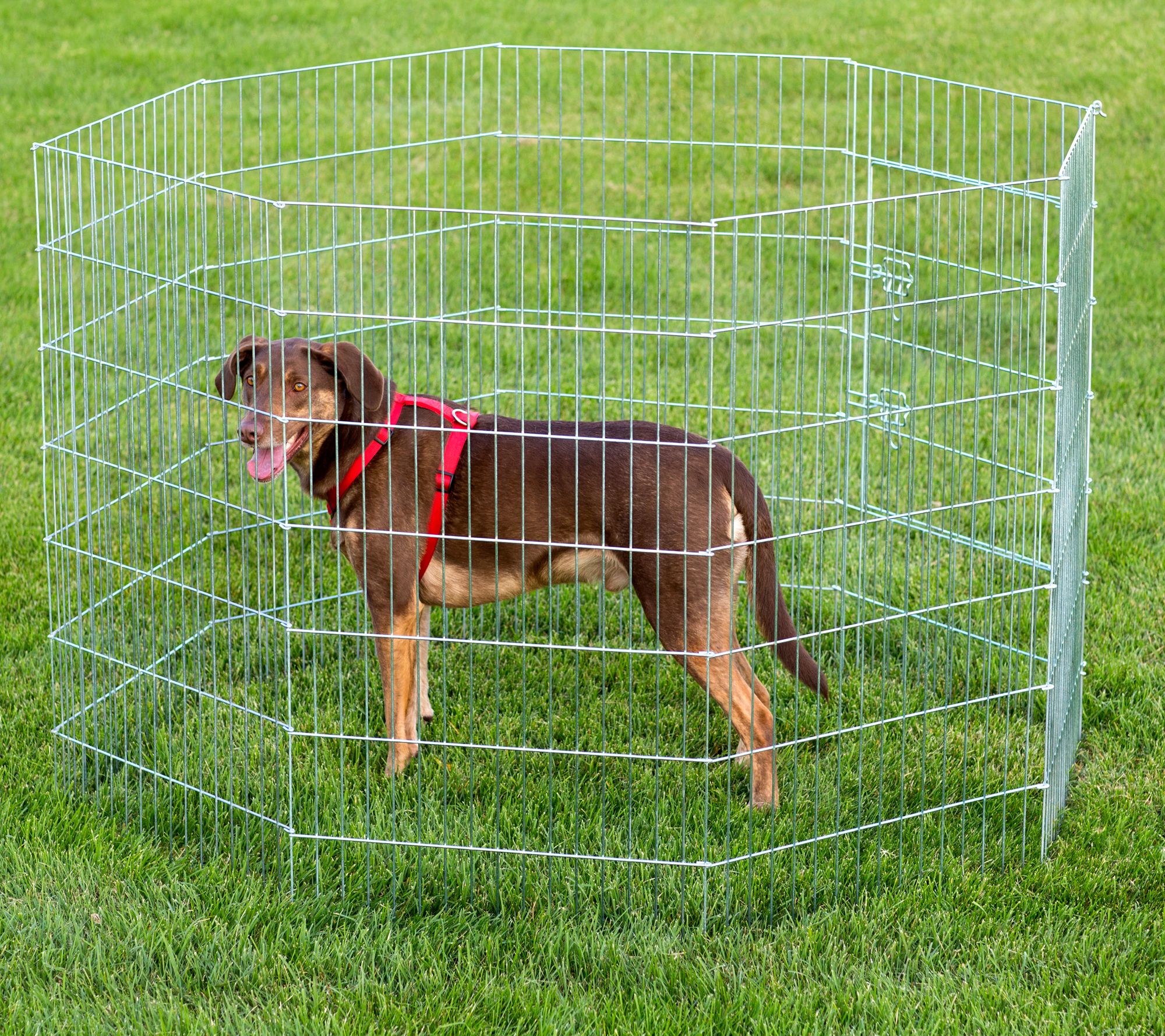 Prevue Pet Products Exercise Pen for Dogs