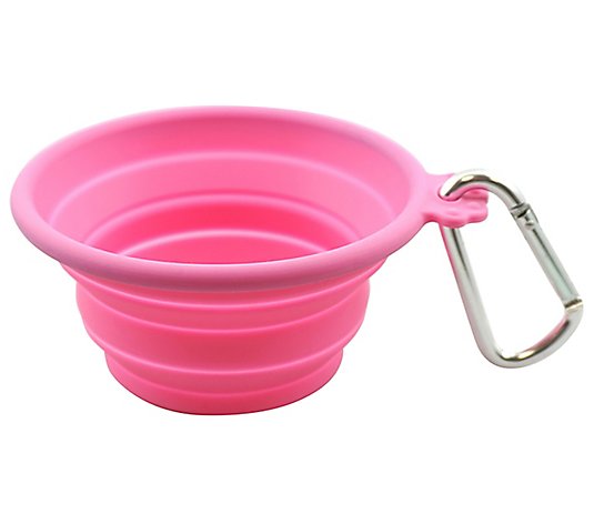 FFDPet Travel Bowl for Dogs & Cats Medium 26.5- oz Pink