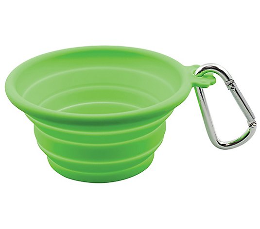 FFDPet Travel Bowl for Dogs & Cats Medium 26.5- oz Lime Green