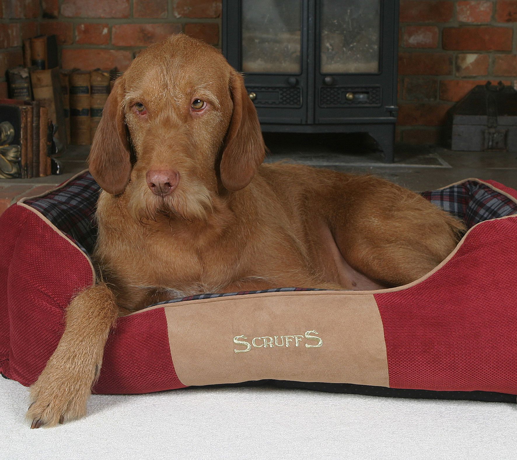 Scruffs Highland Large Box Dog Bed