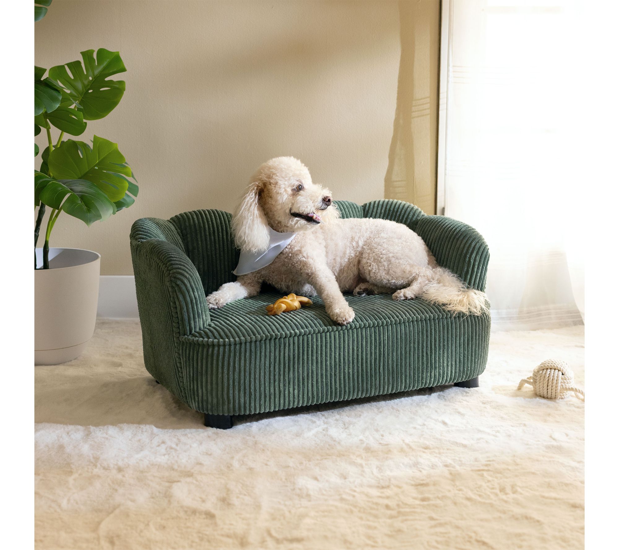  Paws & Purrs Re tro Scalloped S tylish Dog & Ca t Bed