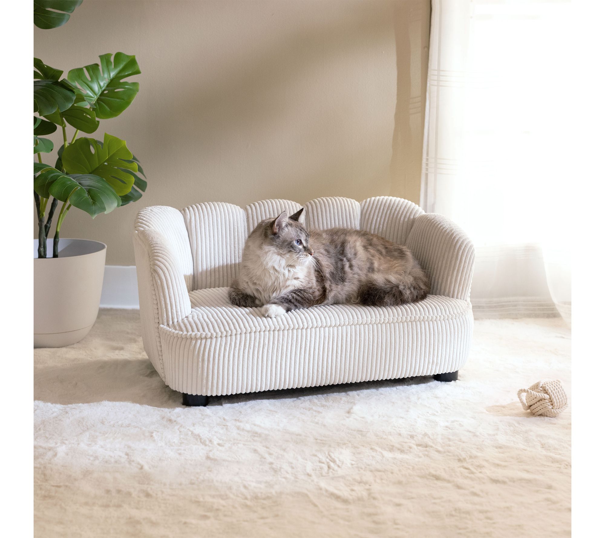 Paws & Purrs Re tro Scalloped S tylish Dog & Ca t Bed