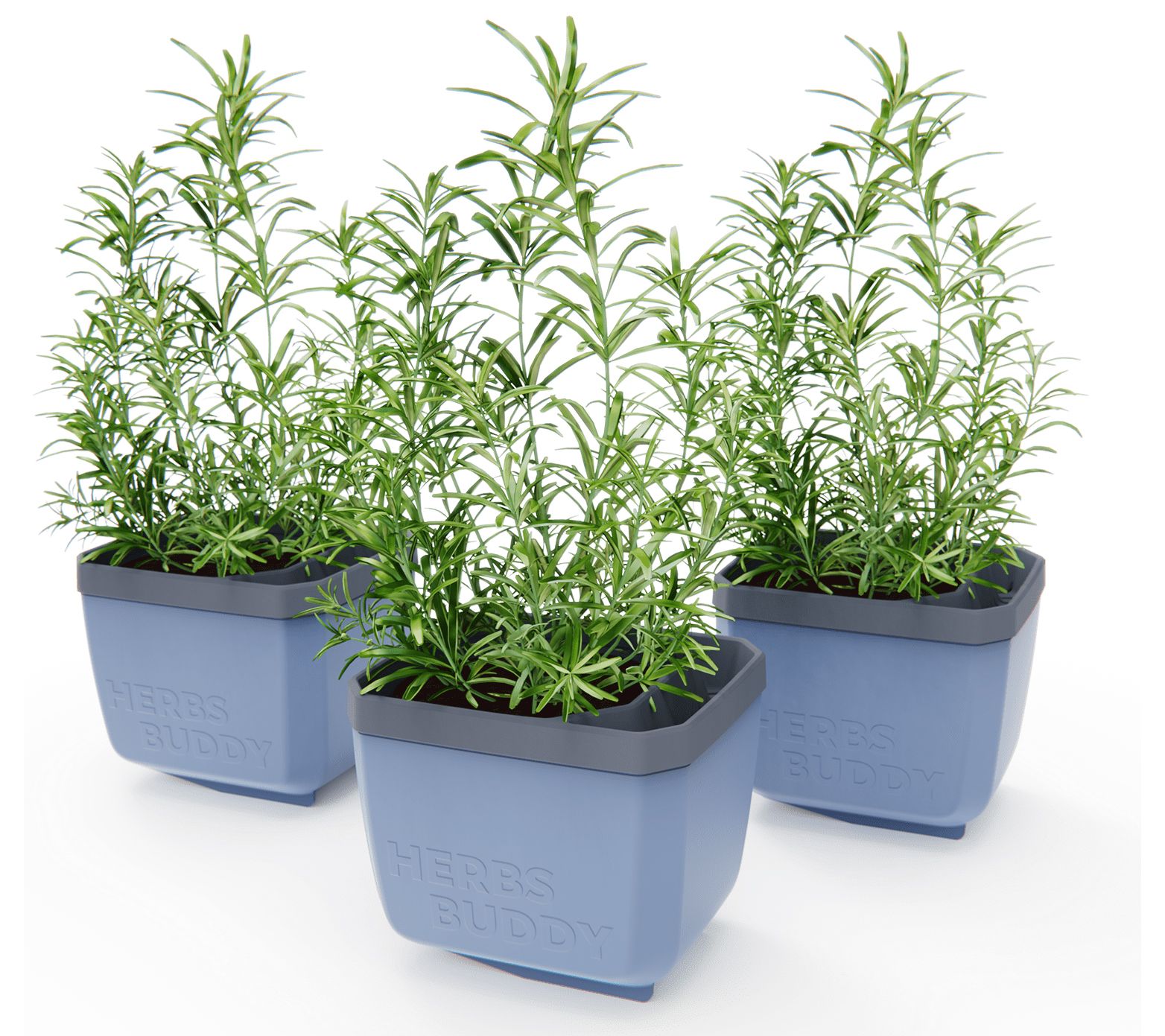 "As Is" Gusta Garden Set of 3 Self Watering Herb Planters