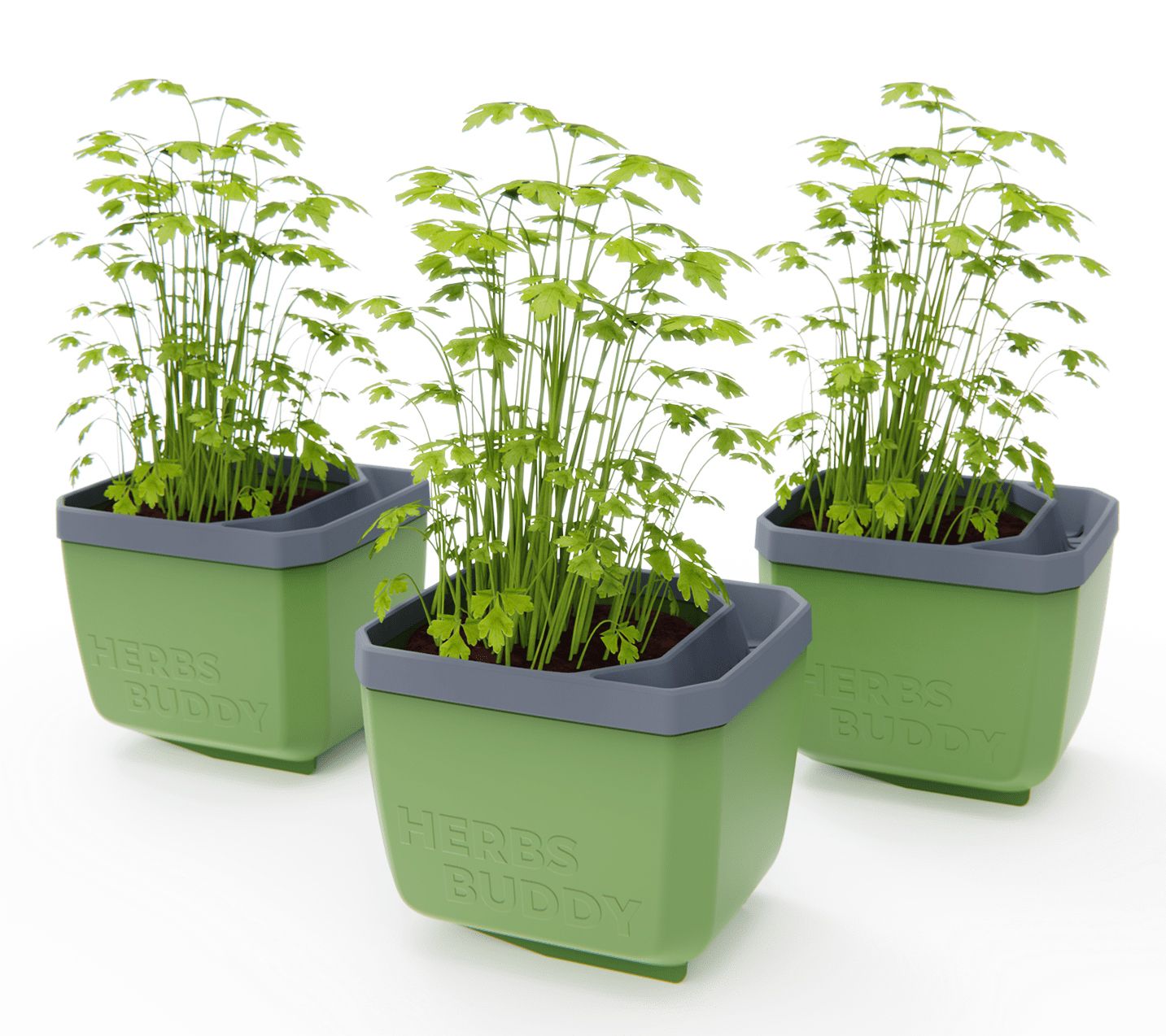 "As Is" Gusta Garden Set of 3 Self Watering Herb Planters