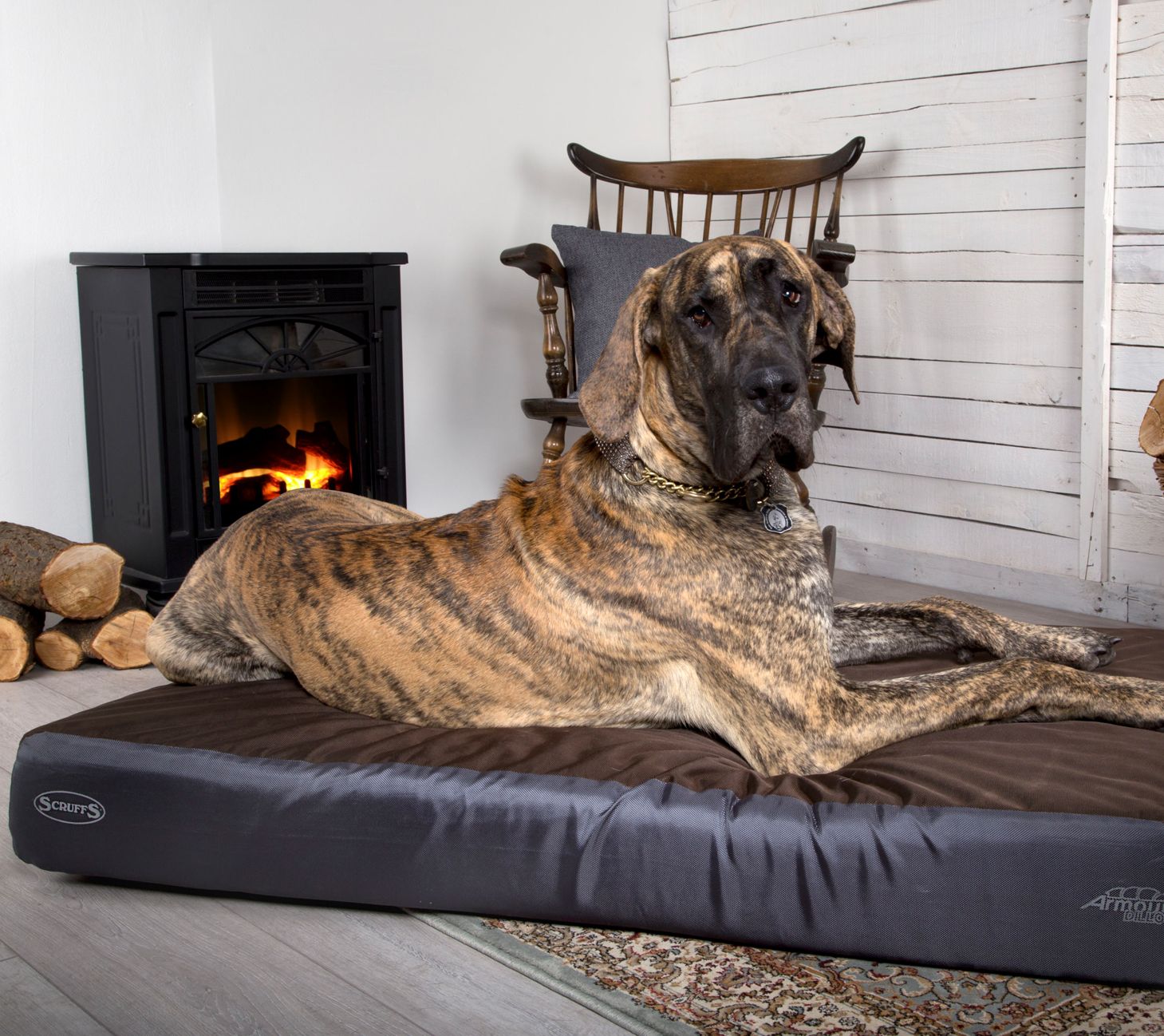 Scruffs Armourdillo Dog Bed
