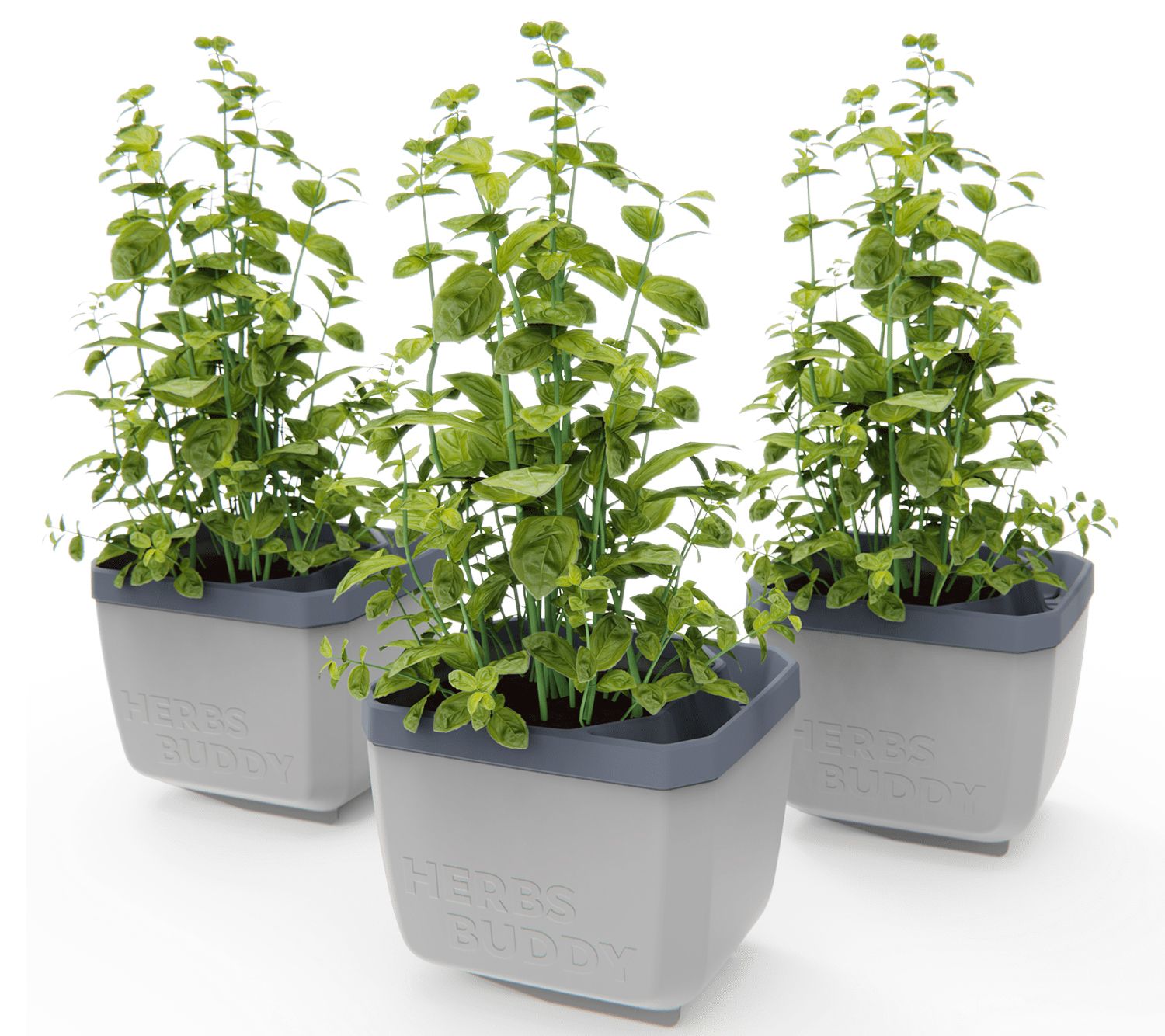 Gusta Garden Set of 3 Self Watering Herb Planters