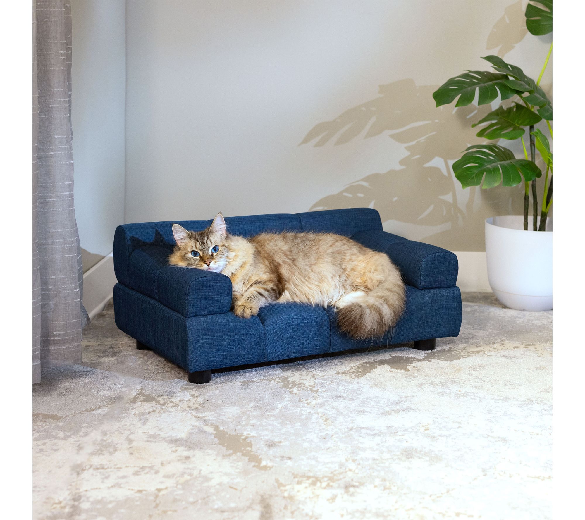 Paws & Purrs Pet Puffer Indoor Dog & Cat Bed
